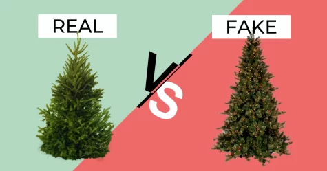Real vs. Faux Christmas Tree