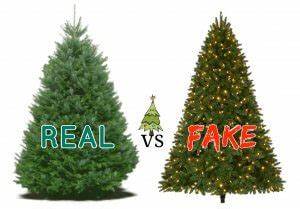 What Christmas Trees Do People Prefer For The Holidays?