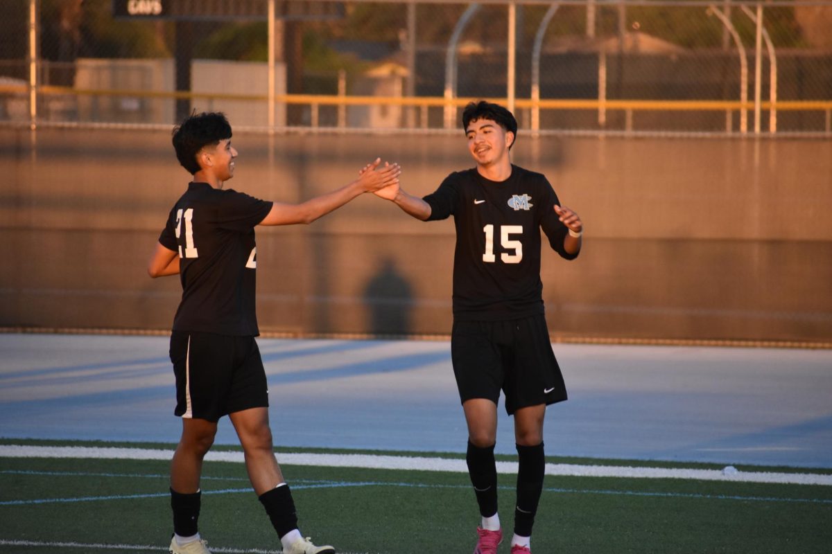 #21 & #15 high fiving each other after they scored a goal.