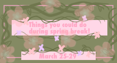 What could you do during spring break?